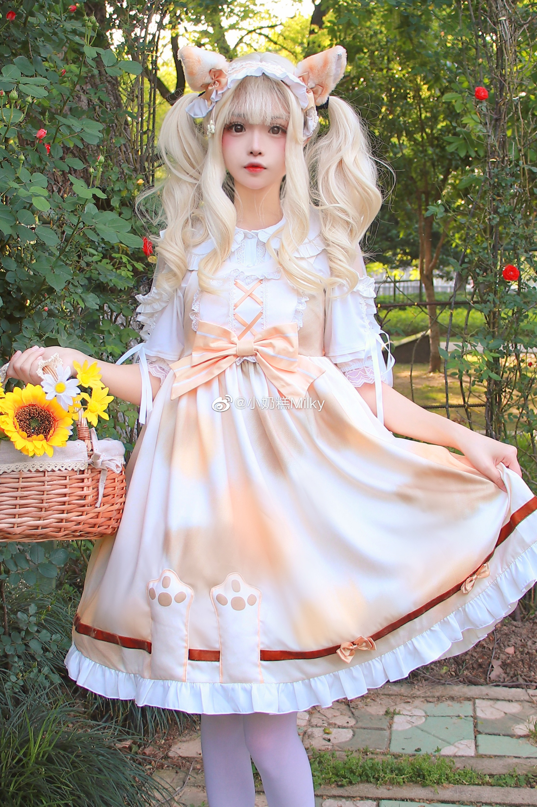 ?小懒猫?@小奶糕Milky LOLITA-第2张