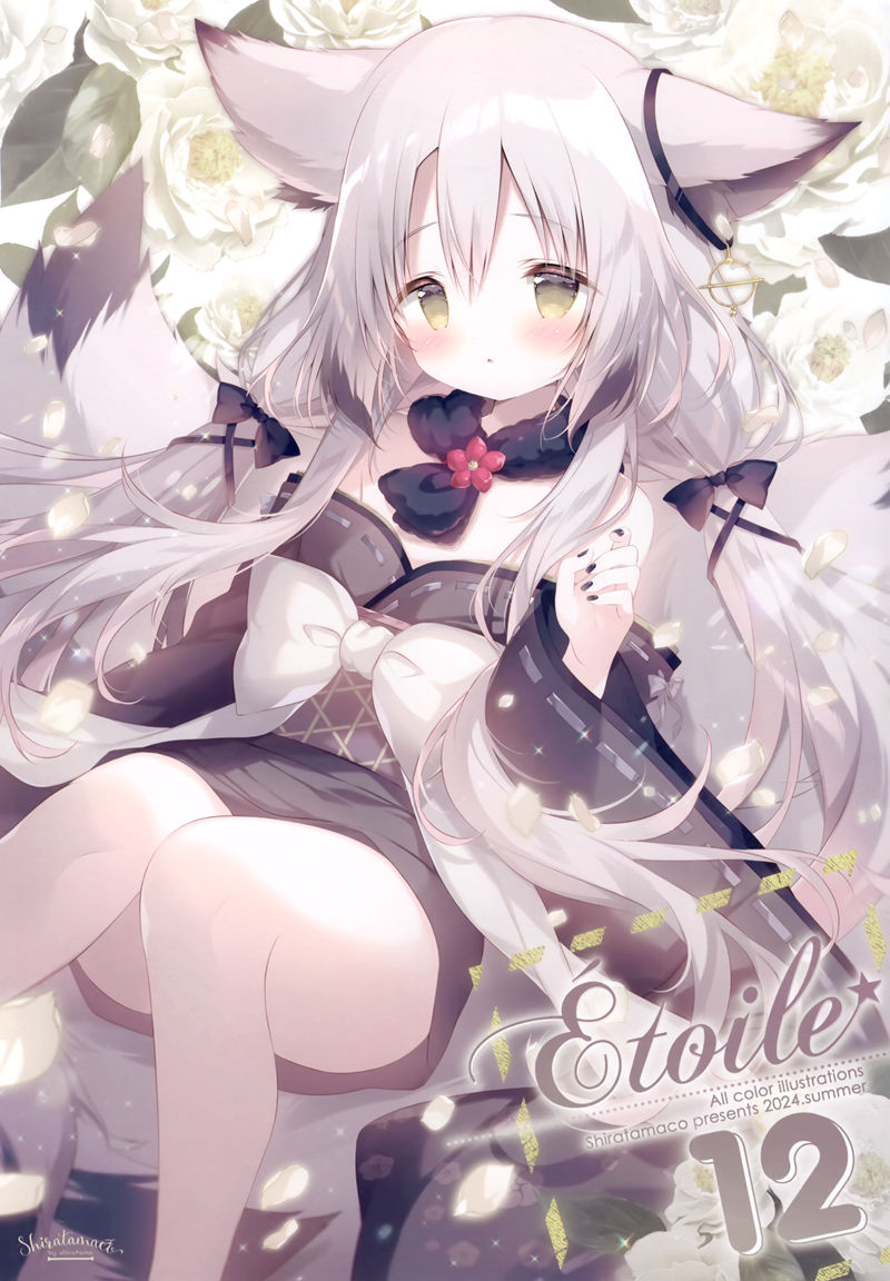 画师しらたま[しらたまこ]Étoile 12（Shiratama、白玉）画集图片包