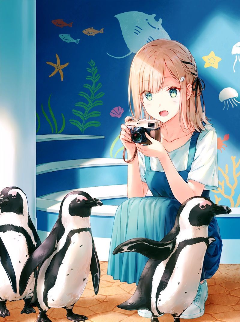 [会员][PSD源文件]Hiten ペンギンお散歩 PSD文件[1P]